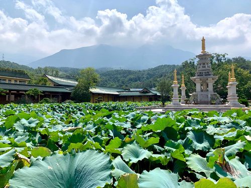 庐山为什么女的不能去_庐山东林寺很可怕