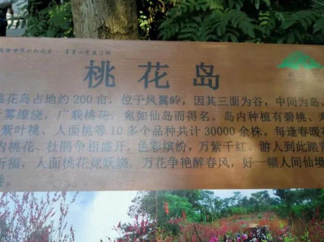 桃花岛门票价目表_桃花岛门票价目表图片