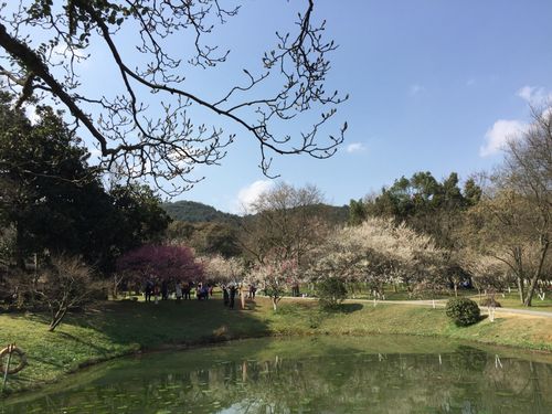 杭州植物园攻略_杭州植物园景区