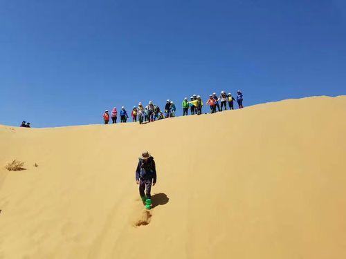 库布齐沙漠旅游攻略-库布齐沙漠旅游全攻略