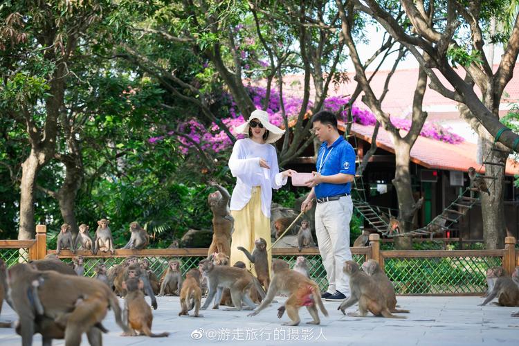 三亚陵水猴岛简介_陵水猴岛门票价