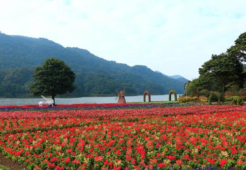 广州从化旅游_广州从化旅游必去十大景点