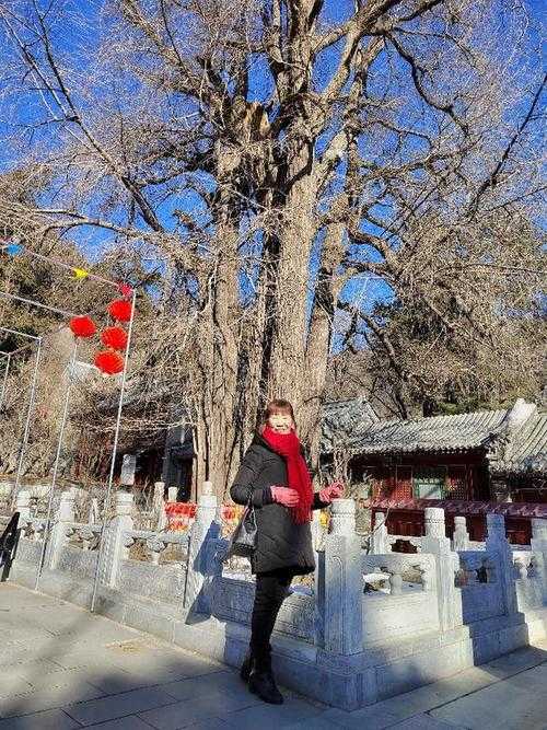 北京潭柘寺一日游_北京潭柘寺一日游价格