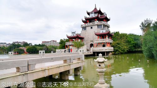 泉州东湖公园鸡多少钱_五岁不会握笔