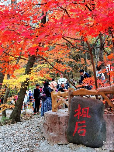 本溪关门山攻略_本溪关门山一日游攻略