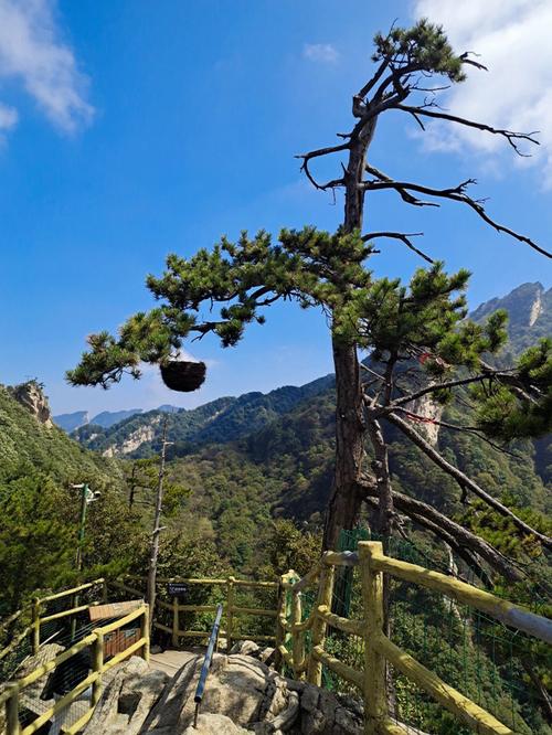 老界岭风景区门票_老界岭风景区攻略