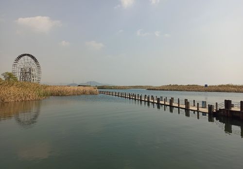 七都太湖湿地公园_七都太湖湿地公园图片