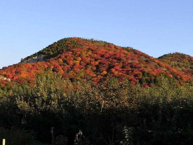 北京赏红叶十大绝佳去处_北京赏红叶十大绝佳去处白毛峪